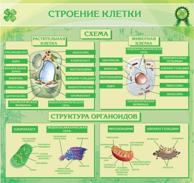 Средняя школа с. Ильтеряково